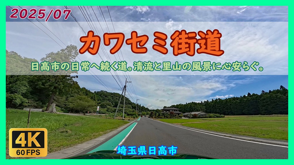 日高市 カワセミ街道